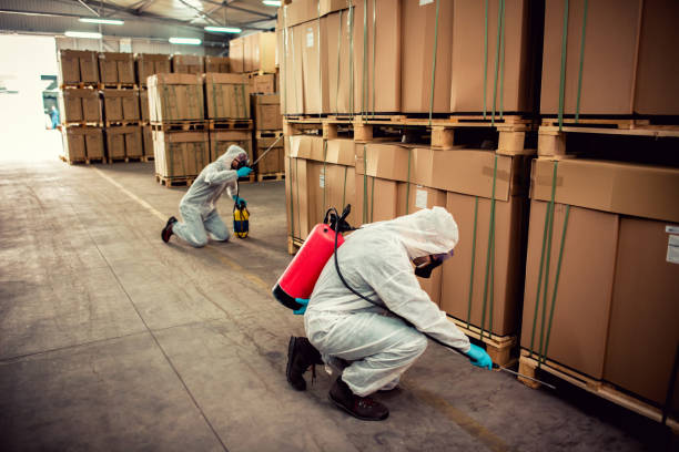 Best Residential Pest Control  in Charlotte Harbor, FL