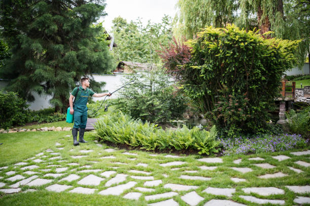 Best Mosquito Control Services  in Charlotte Harbor, FL