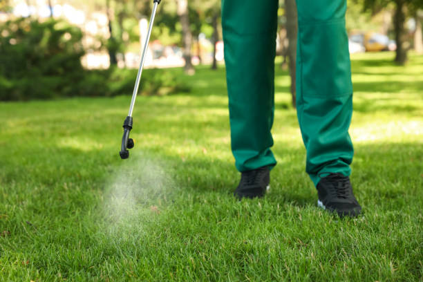 Best Wasp Removal Services  in Charlotte Harbor, FL