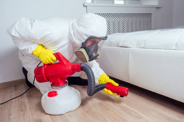 Best Wasp Removal Services  in Charlotte Harbor, FL