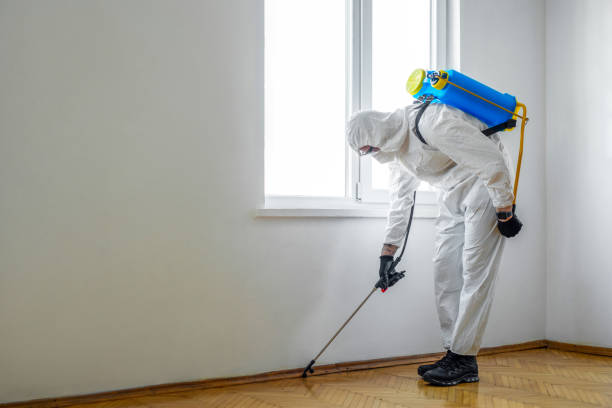 Trusted Charlotte Harbor, FL Pest Control Experts