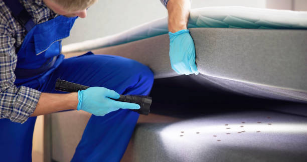 Best Affordable Pest Control Services  in Charlotte Harbor, FL