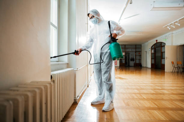 Best Local Pest Control Services  in Charlotte Harbor, FL