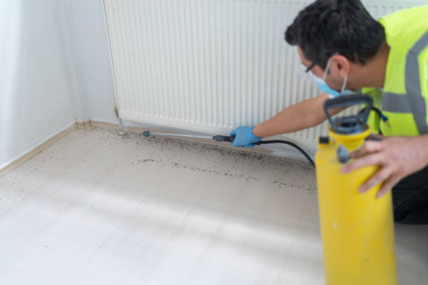 Best Pest Inspection Near Me  in Charlotte Harbor, FL